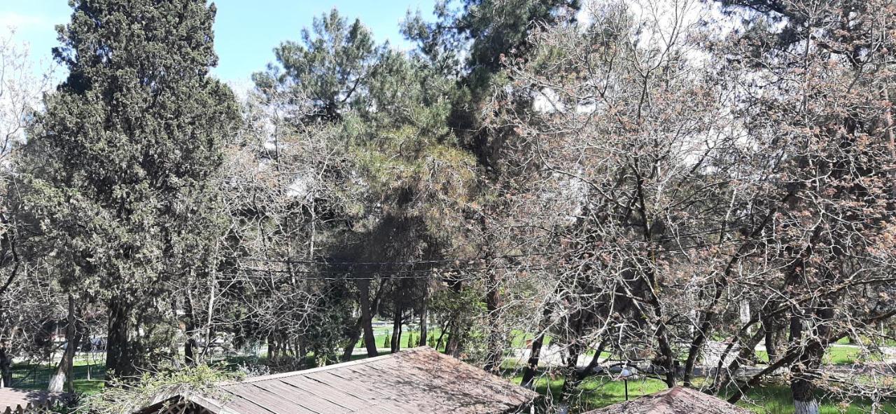 Гостиница "Курорт" Pitsunda Dış mekan fotoğraf